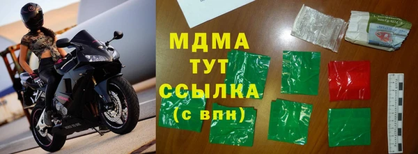 прущие грибы Вязьма