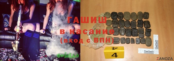 прущие грибы Вязьма