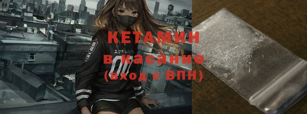 прущие грибы Вязьма