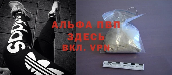 прущие грибы Вязьма