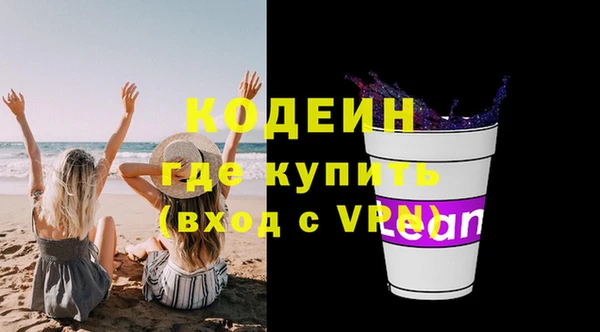прущие грибы Вязьма