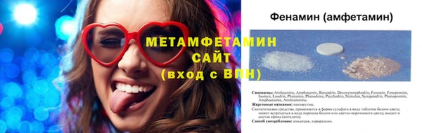прущие грибы Вязьма