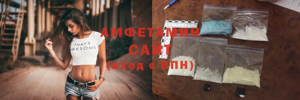 прущие грибы Вязьма