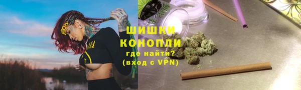 прущие грибы Вязьма