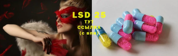прущие грибы Вязьма