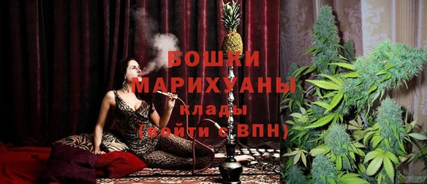 прущие грибы Вязьма