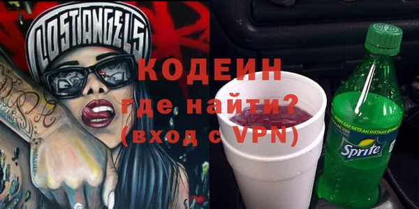 прущие грибы Вязьма