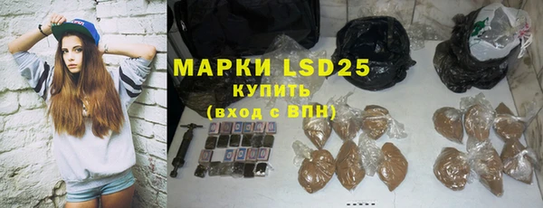 прущие грибы Вязьма