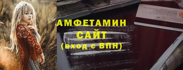 прущие грибы Вязьма